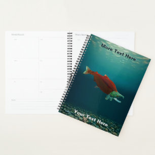 Sockeye Salmon Planner