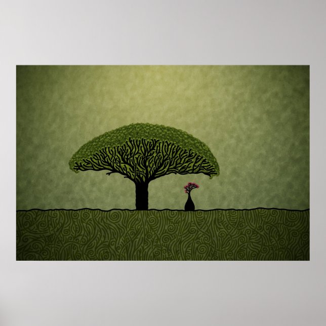 Socotra Poster (Front)
