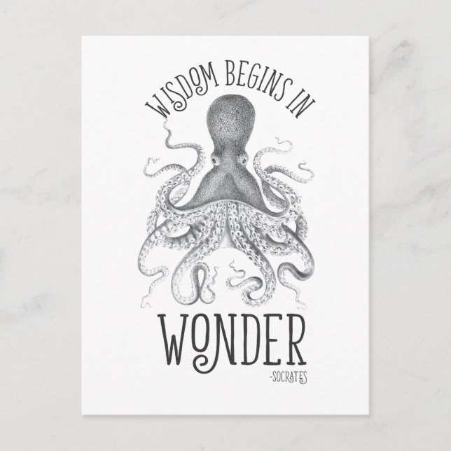 Socratic Cephalopod Postcard (Front)