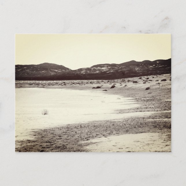 Soda Lake Carrizo Plain California Postcard (Front)