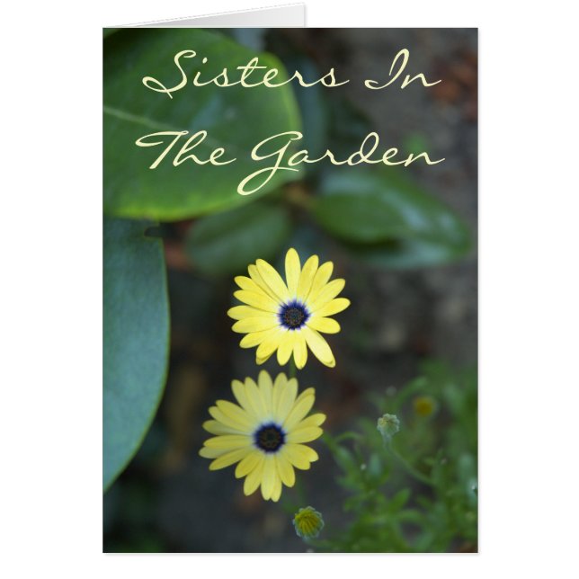 Soeurs dans le jardin - carte de soeur (Devant)