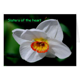 Soeurs du coeur