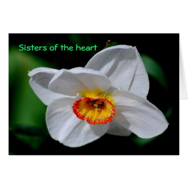 Soeurs du coeur (Devant horizontal)