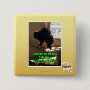 Sofa Bison 2 Inch Square Button