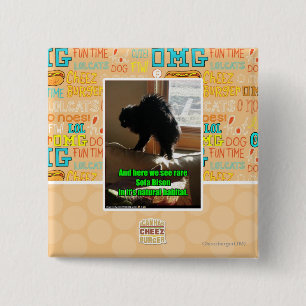 Sofa Bison 2 Inch Square Button