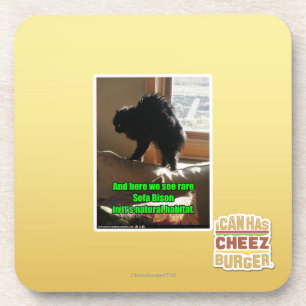 Sofa Bison Coaster