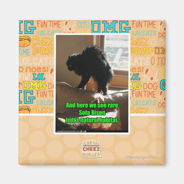 Sofa Bison Magnet (Front)