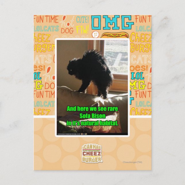 Sofa Bison Postcard (Front)