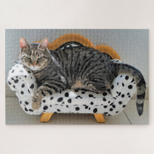 Sofa cat puzzle