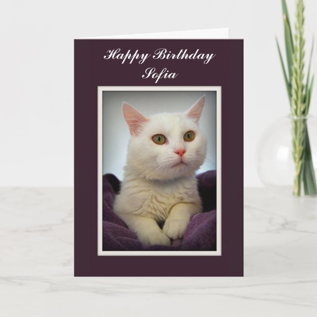 Sofia Happy Birthday White Cat Card (Front)