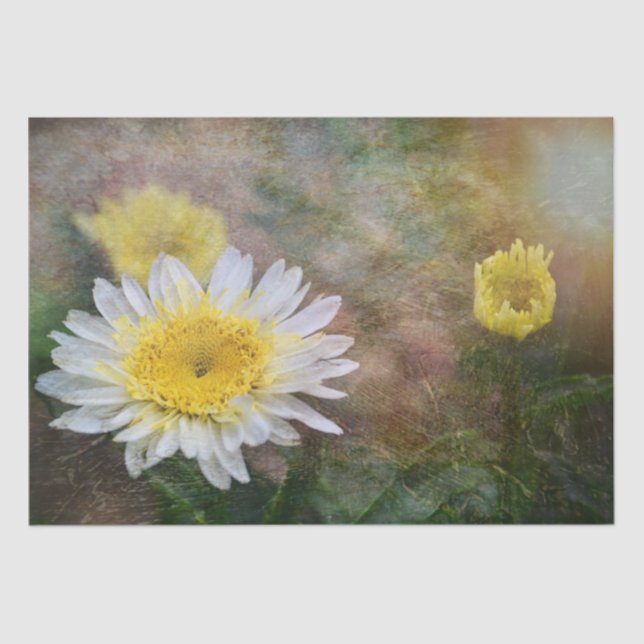 Soft and Dreamy Daisy Tissue Paper (Front)