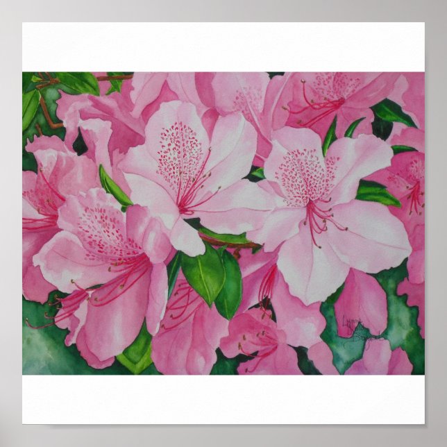 Soft Azaleas Poster (Front)