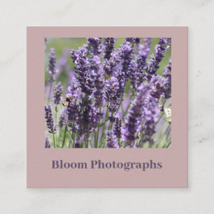 Soft Beautiful Lavender Field Business Card