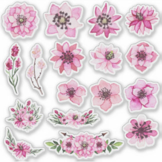 Soft Blossom Floral Collection