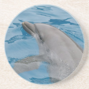 Soft Blue Dolphin Ripples in Clear Water Coaster