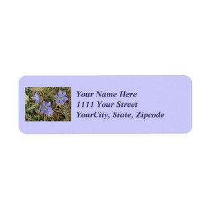 Soft Blue Hepatica Wildflower Address Label
