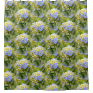 Soft Blue Hydrangea Flower Pattern Nature 