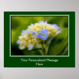 Soft Blue Hydrangea Flower Personalized Poster