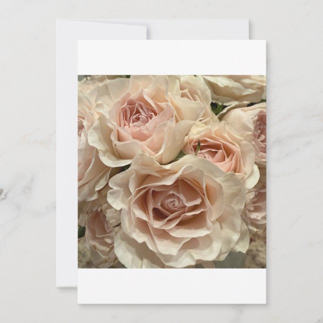 Soft Blush Rose Bouquet Romantic Greeting Card (Front)