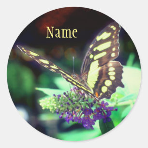Soft Butterfly On Flower Nature Personalized Classic Round Sticker