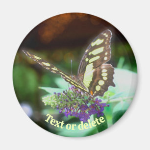 Soft Butterfly On Flower Nature Personalized Magnet