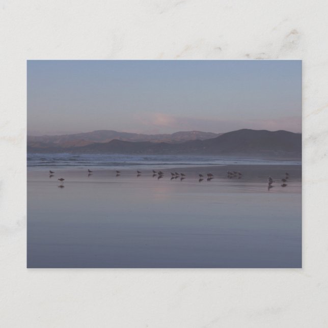 Soft California Coast Sunset Postcard (Front)