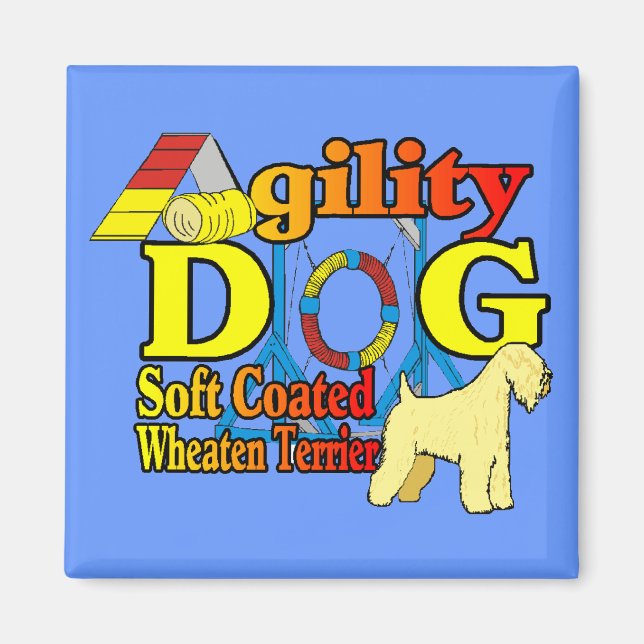 Soft_Coated_Wheaten_Terrier_Agility Magnet (Front)