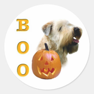 Soft Coated Wheaten Terrier Boo Classic Round Sticker