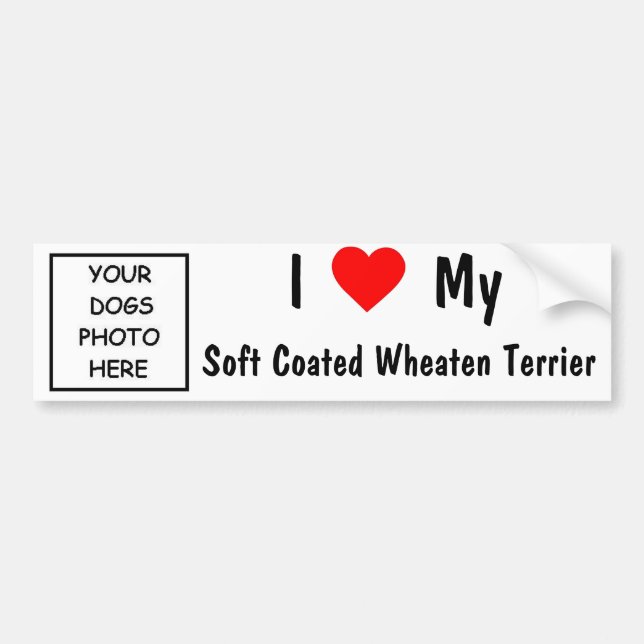 Soft Coated Wheaten Terrier Bumper Sticker (Front)