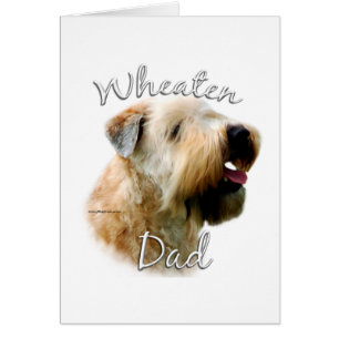 Soft Coated Wheaten Terrier Dad 2