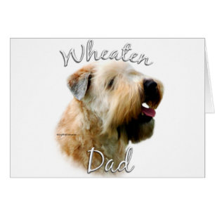 Soft Coated Wheaten Terrier Dad 2