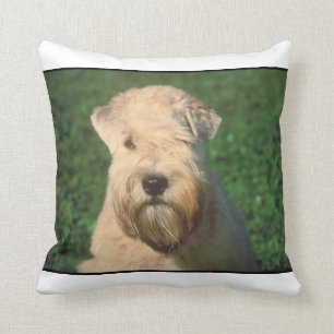 Soft Coated Wheaten Terrier MoJo Pillow