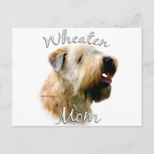 Soft Coated Wheaten Terrier Mom 2 Postcard