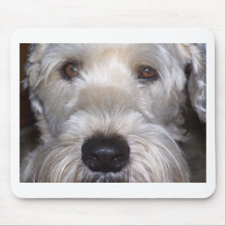 Soft Coated Wheaten Terrier Mouse Pad
