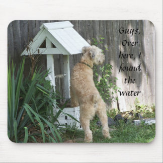 Soft Coated Wheaten Terrier on wishing well Mouse Pad