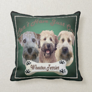 Soft Coated Wheaten Terrier Pillows