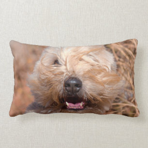 Soft Coated Wheaten Terrier portrait Lumbar Pillow