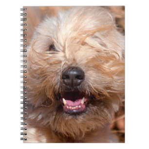 Soft Coated Wheaten Terrier portrait Notebook