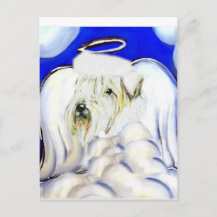 Soft Coated Wheaton Postcard