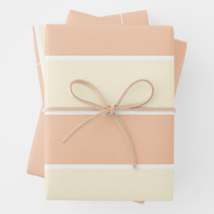Soft Color Vertical Stripe Pattern Design Wrapping Paper Sheet