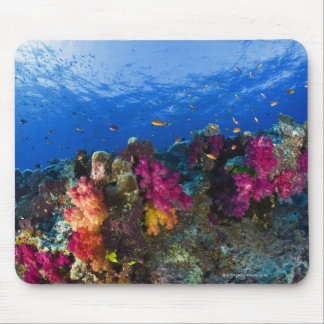 Soft corals on shallow reef, Fiji Mouse Pad