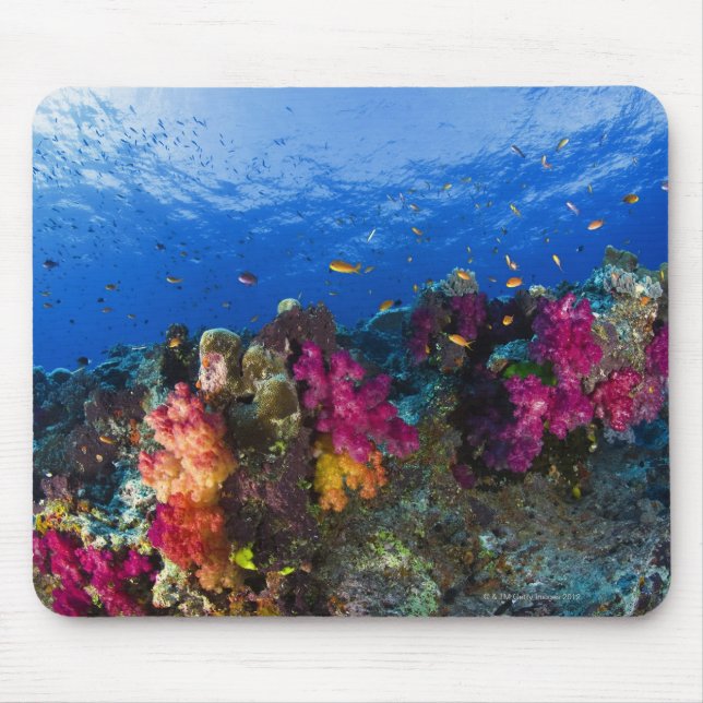 Soft corals on shallow reef, Fiji Mouse Pad (Front)