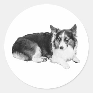 Soft-Focus Lookout Classic Round Sticker