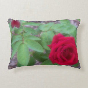 Soft focus red rose on a pillow
