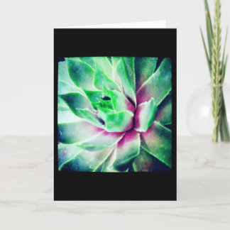 Soft Focus Succulent Blank Greeting Card