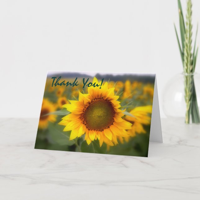 Soft Focus Sunflower Thank You (Front)