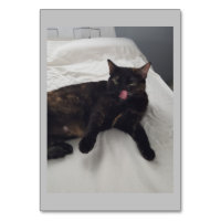 Soft fur, Cat, Adjective Reading Flashcards