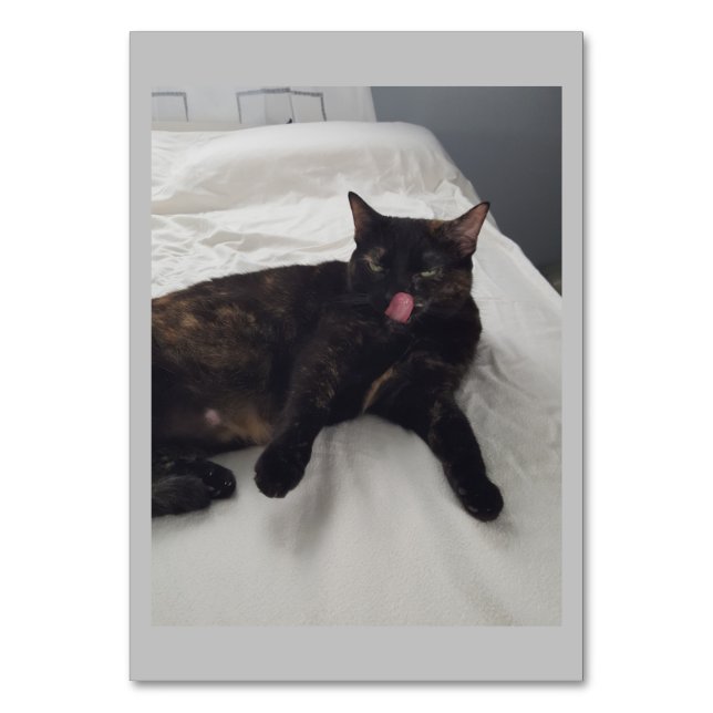 Soft fur, Cat, Adjective Reading Flashcards Table Number (Front)