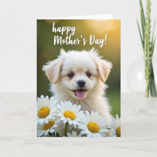 Soft Furry Friend Card