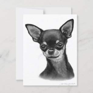 Soft Gaze Charcoal Drawing Postcard